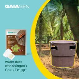 Gaiagen RPW Lure With Insect Bucket Traps, Pheromone Lure For Red Palm Weevil (Rhynchophorus Ferrugineus), IMO Certified. 3