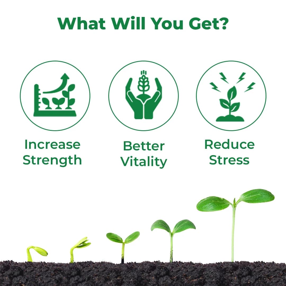BACF Nutrixon Cal SL - Calcium, Boron, Amino acids. Prevents Fruit and Flower Dropping, Reduces Biotic And Abiotic Stress, Increases Fruit Size - Image 3