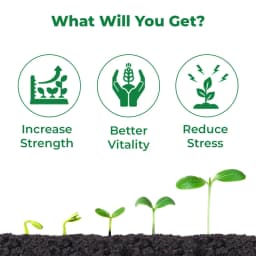 BACF Nutrixon Cal SL - Calcium, Boron, Amino acids. Prevents Fruit and Flower Dropping, Reduces Biotic And Abiotic Stress, Increases Fruit Size 3