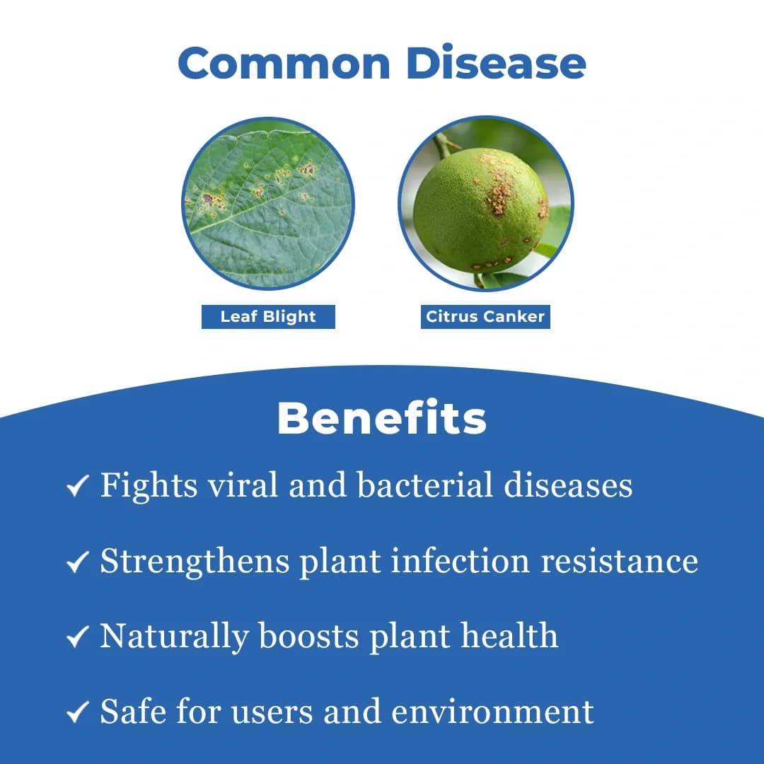 Katra Lysorus Anti-Virus and Anti-Bacteria (1 GM Lysorus Powder + 50 ML Activator) - Image 3