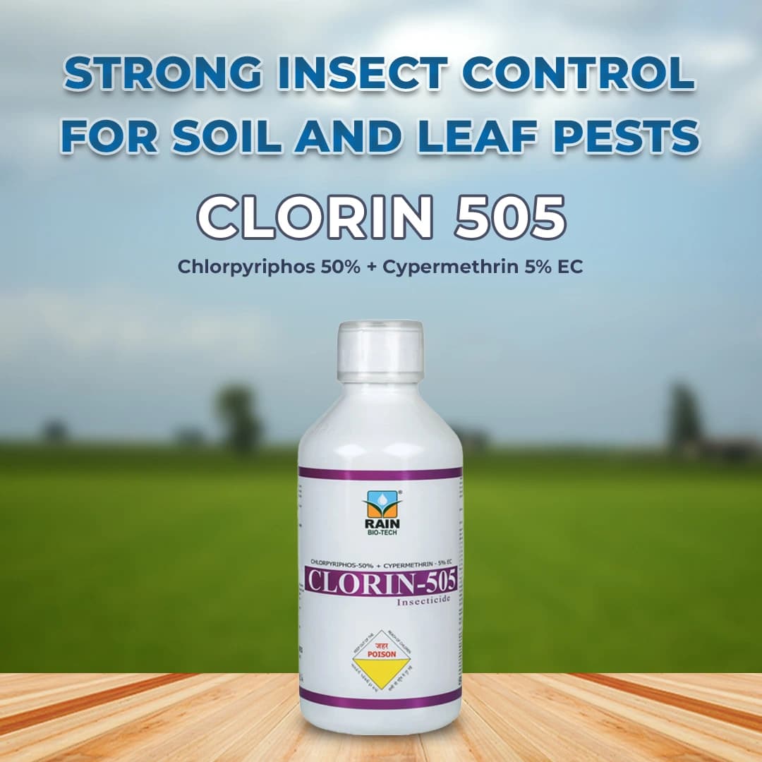 Clorin 505 - Chlorpyriphos 50% + Cypermethrin 5% EC Insecticide, Best Use Against Aphids, Jassids, Thrips, Whiteflies, Spotted, Pink Bollworm - Image 2