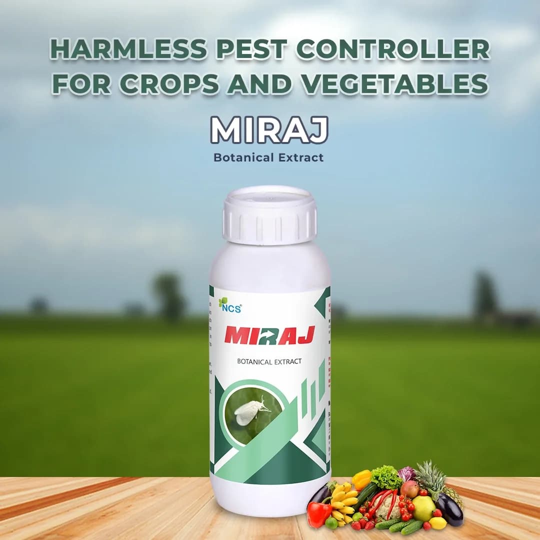 Miraj Botanical Extract - Special Solution for Whitefly and Green Jassid Control, Non-Toxic and Eco-Friendly - Image 2