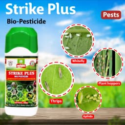 Multiplex Strike Plus Advanced Bio-Pesticide For Sucking Pests, Mites, Thrips And Lepidopteran Control 3