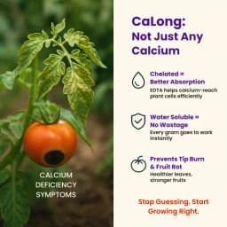 Utkarsh CaLong (Calcium-Ca 9%, EDTA Chelated Fertilizer) 100% Water Soluble Foliar Spray 4