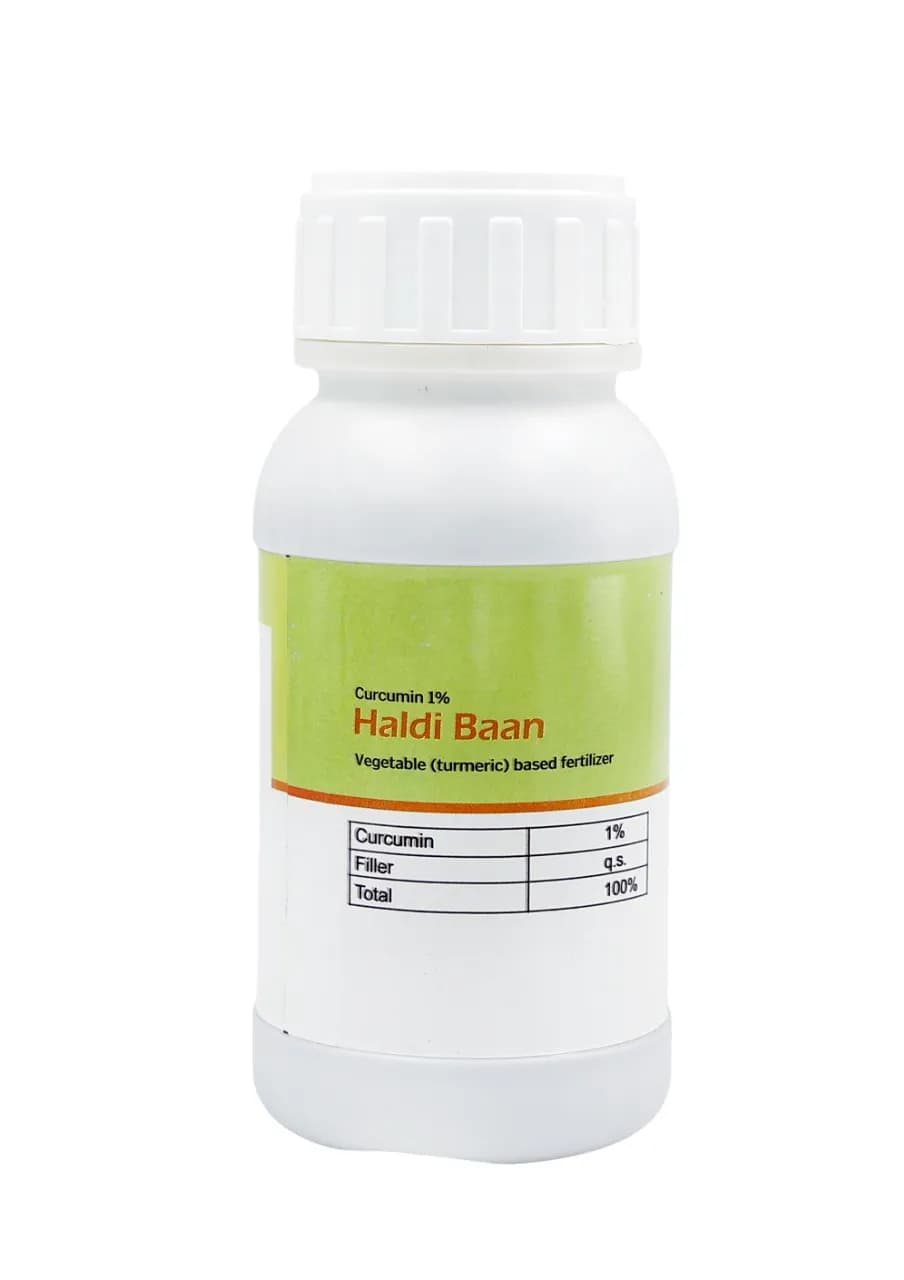 Katra Fertilizers Haldi Baan Curcumin 1% Botanical Fungicide, For Controlling Fungus Disease Like Early Blight, Downy Mildew - Image 3