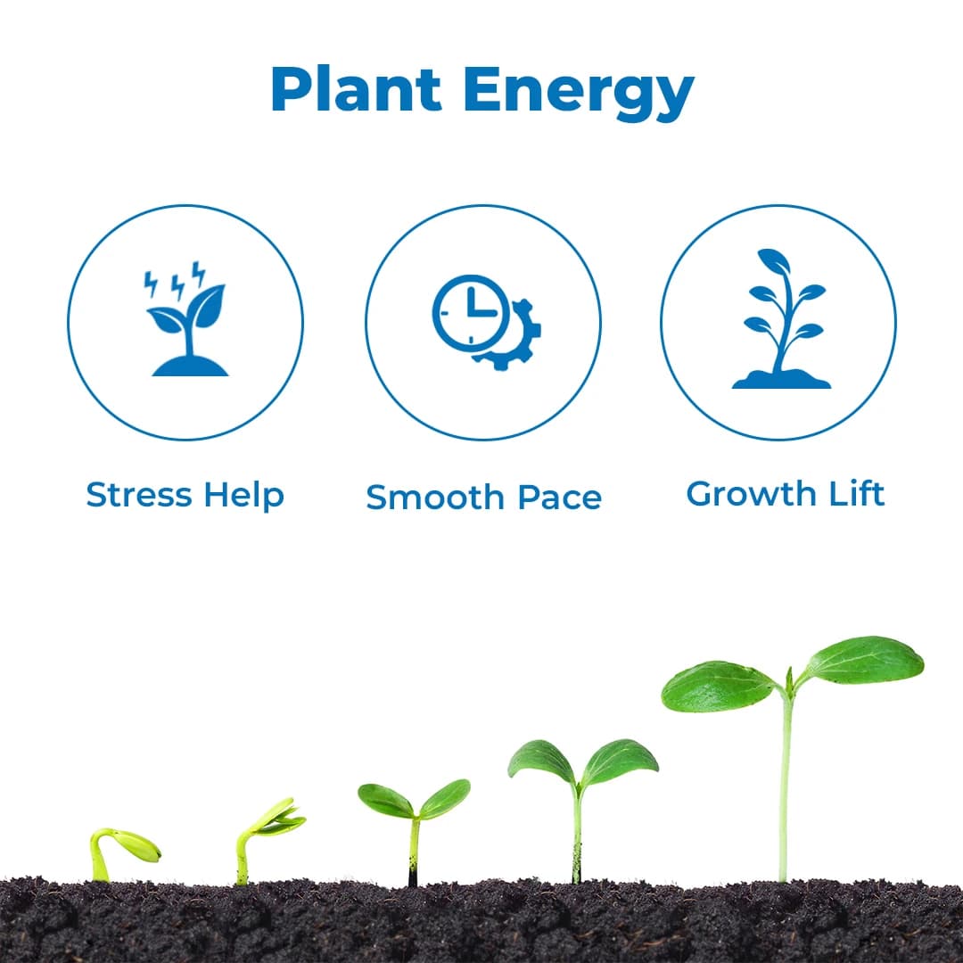 Insta Bion, An Amino Acid And Peptide Base Mixture Enhances The Growth - Image 3