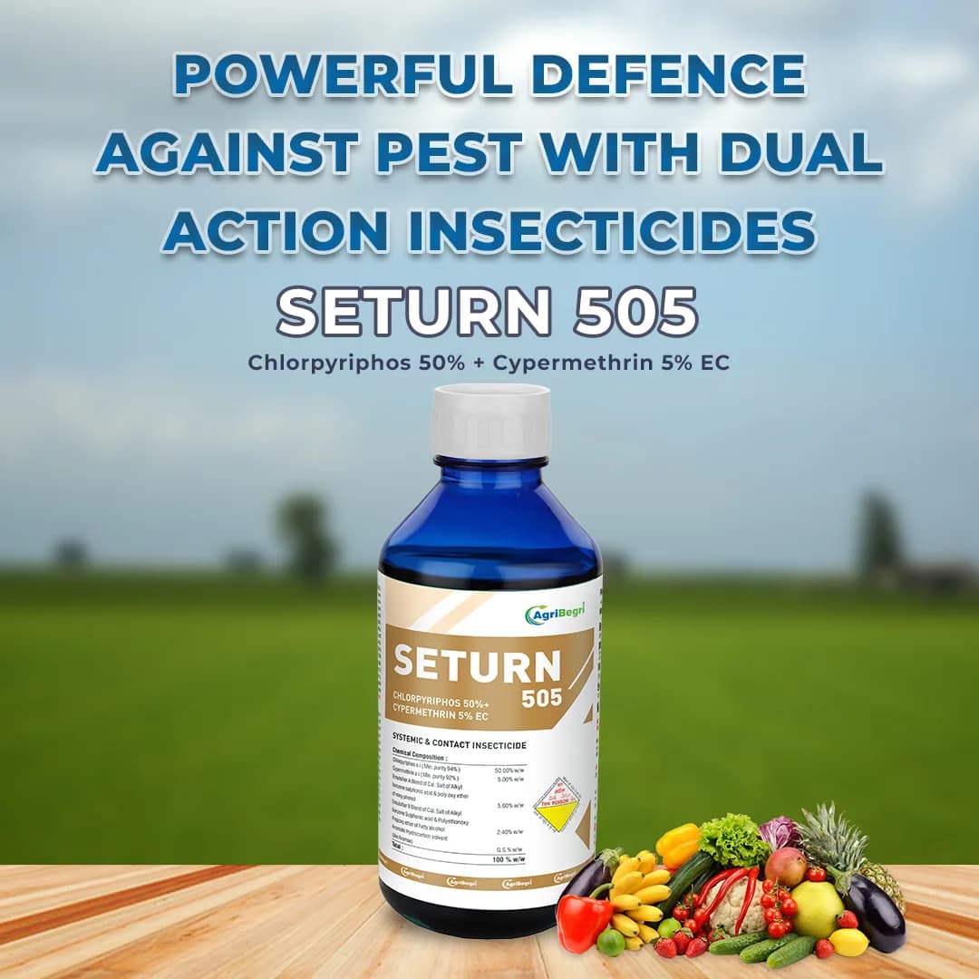 Seturn 505 Insecticide - Chlorpyriphos 50% + Cypermethrin 5% EC - Image 2