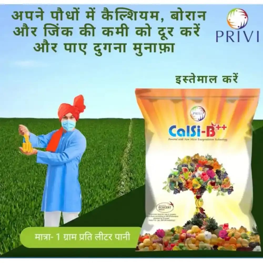 Privi Calsi-B Double Plus, Chelated Calcium And Boron Fertilizer For Enhanced Fruit Yield Supplement with Encapsulated Silicon - Image 3