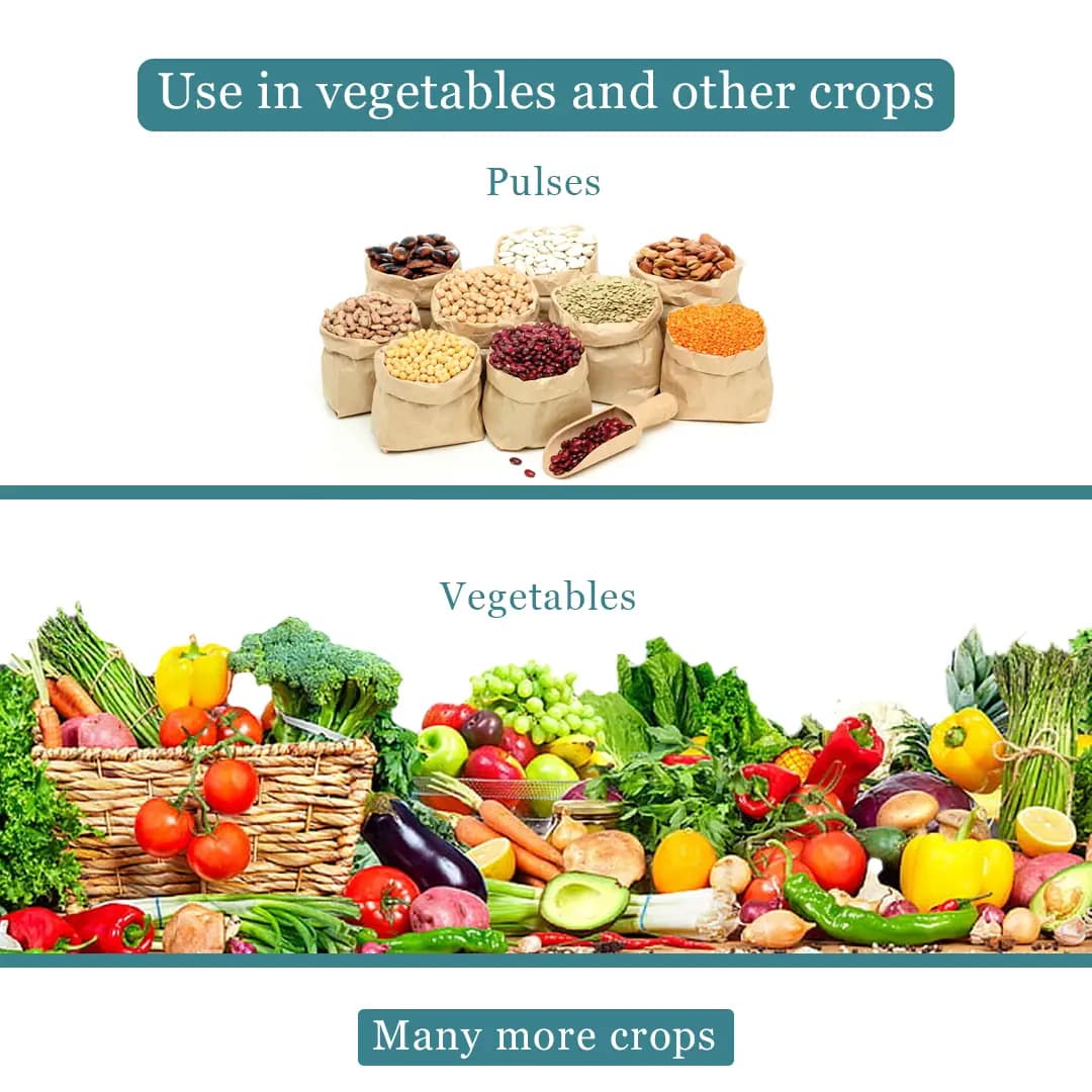 Emoxam - Emamectin Benzoate 3% + Thiamethoxam 12% WG, Powder Insecticide for Plants. - Image 4