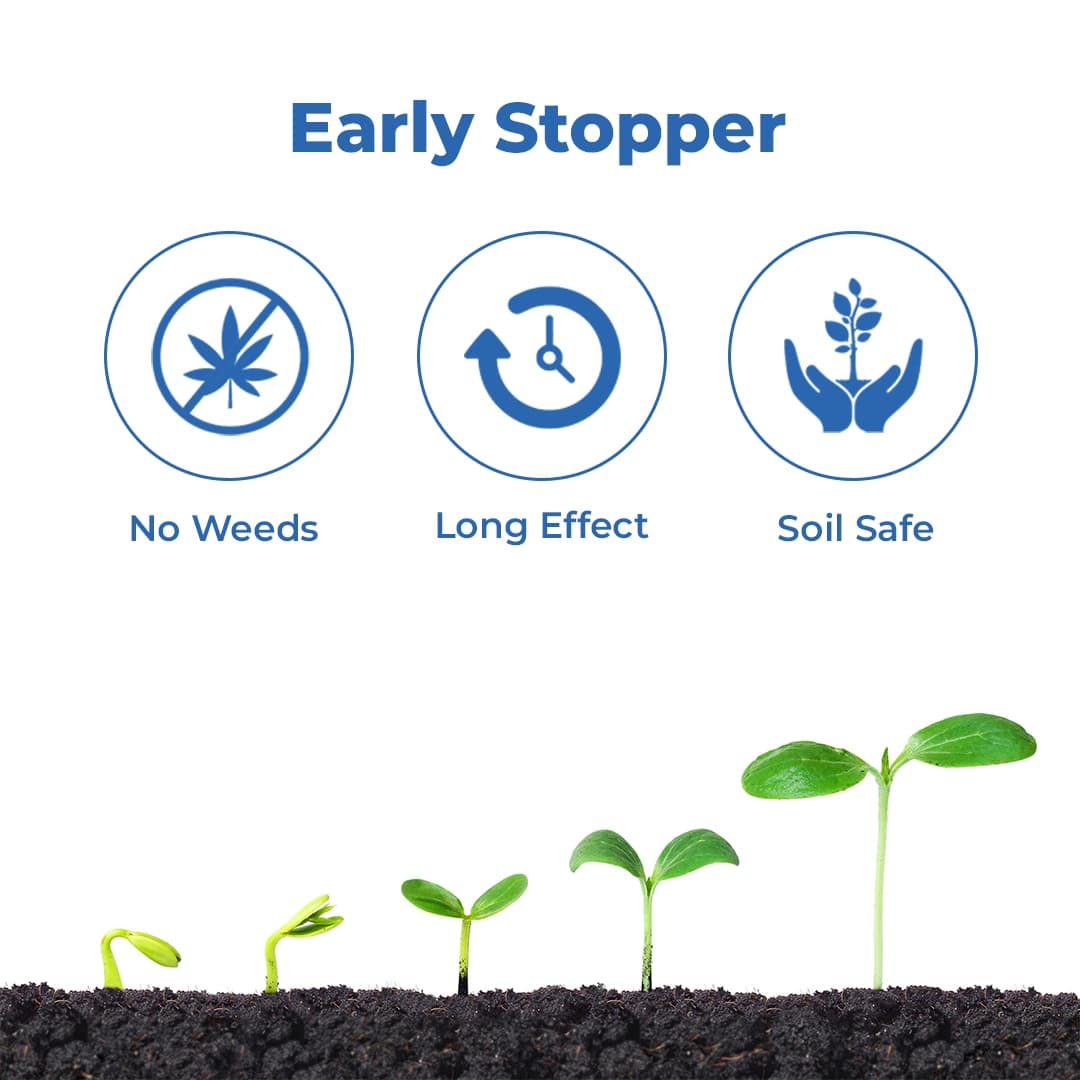 Adama Flamberge Natural Bio-Stimulant, Natural Proteins Into Peptides And Amino Acids In Crops - Image 3