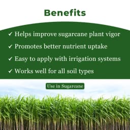 Sugarcane Special Liquid Micronutrient Mixture Fertilizer Enriched with Essential Micronutrients like Zinc, Ferrous, Boron, Copper And Manganese. 4
