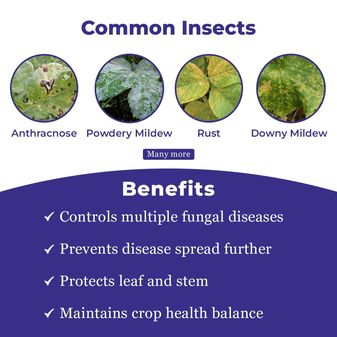 Exylon Aztec Fungicide - Image 3