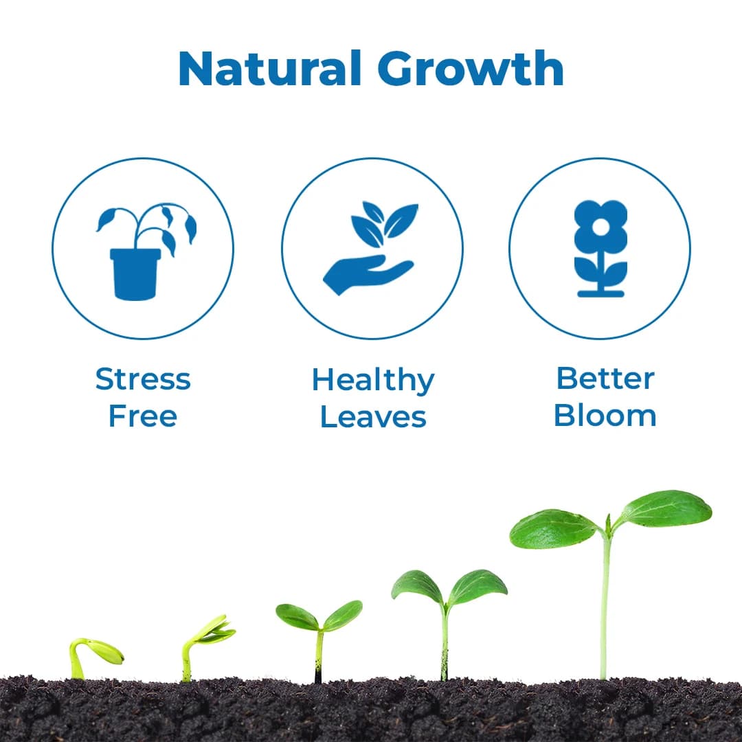 T.stanes Modulin Foliar Bio Stimulant, Organic Mineral Activators, Promote Plant Metabolic Activities for An Increase Number of Flowers and Growth - Image 3