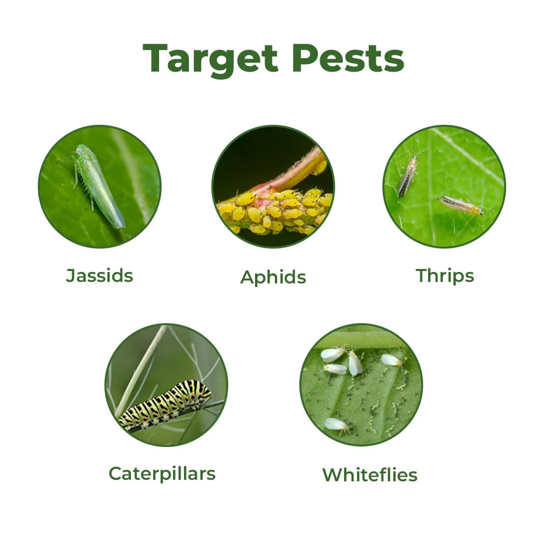BACF Leemdo Systemic & Contact Insecticides - Image 3