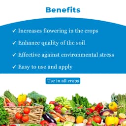 Pellot - Paclobutrazol 23% SC 4