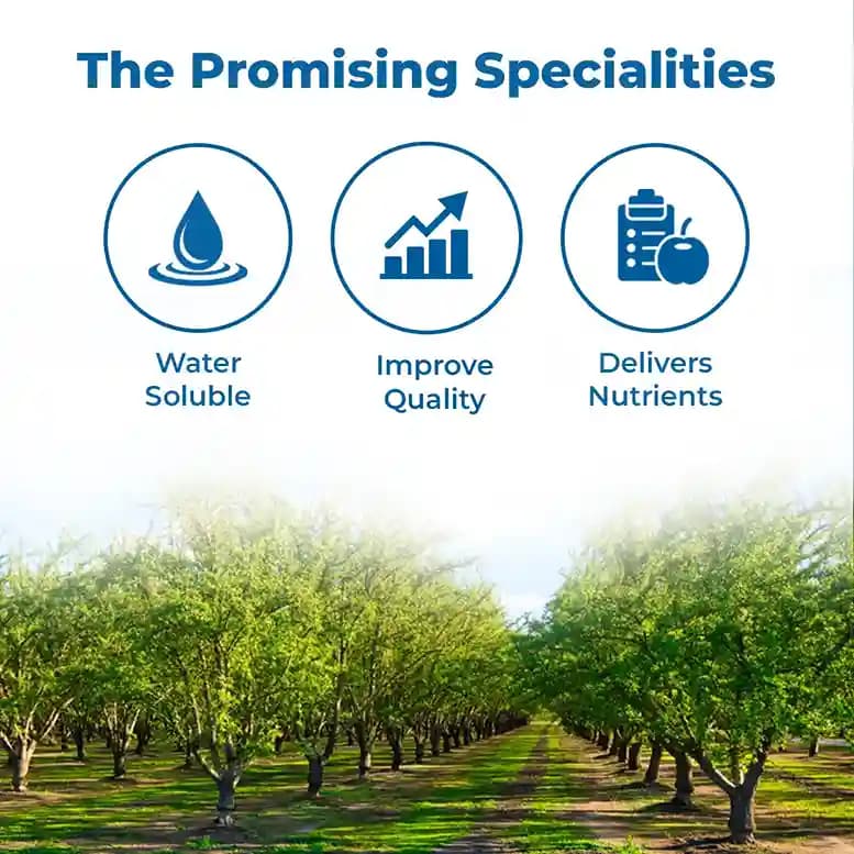 Dr. Soil Areca Special Fertilizer - Image 3