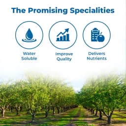 Dr. Soil Areca Intendend Use for Areca (Liquid Consortia) (ISO Certified) Areca special Liquid Fertilizer 3