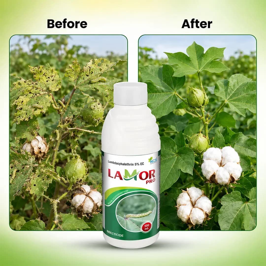 NCS Lamor Pro Insecticide - Lambda Cyhalothrin 5% EC - Image 6
