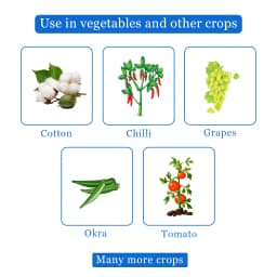 Bayer Confidor Imidacloprid 17.8% SL Broad Spectrum Insecticide, For Control of Aphid, Jassid, Thrips, White Fly, Termite, Hopper and Others 4