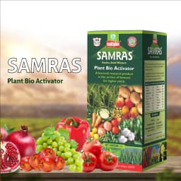 Multiplex Samras Protein Hydrolysates And Amino Acids Based-Biostimulant, Suitable For All Crops 2