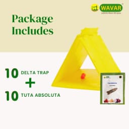 WAVAR Tuta Absoluta Delta Trap, Effective For Tomato Leaf Miner Pest Control In Crops 2
