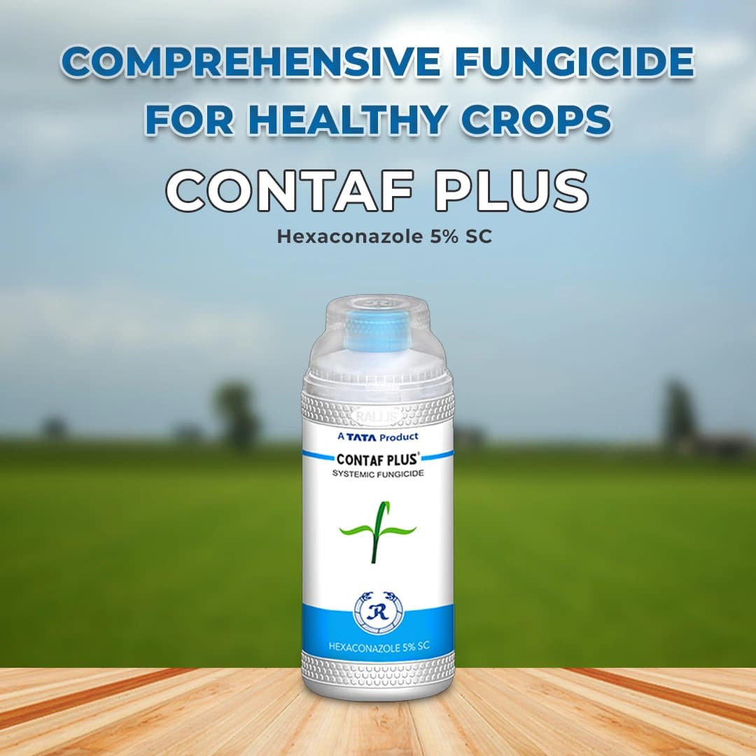 TATA Contaf Plus Fungicide - Image 2