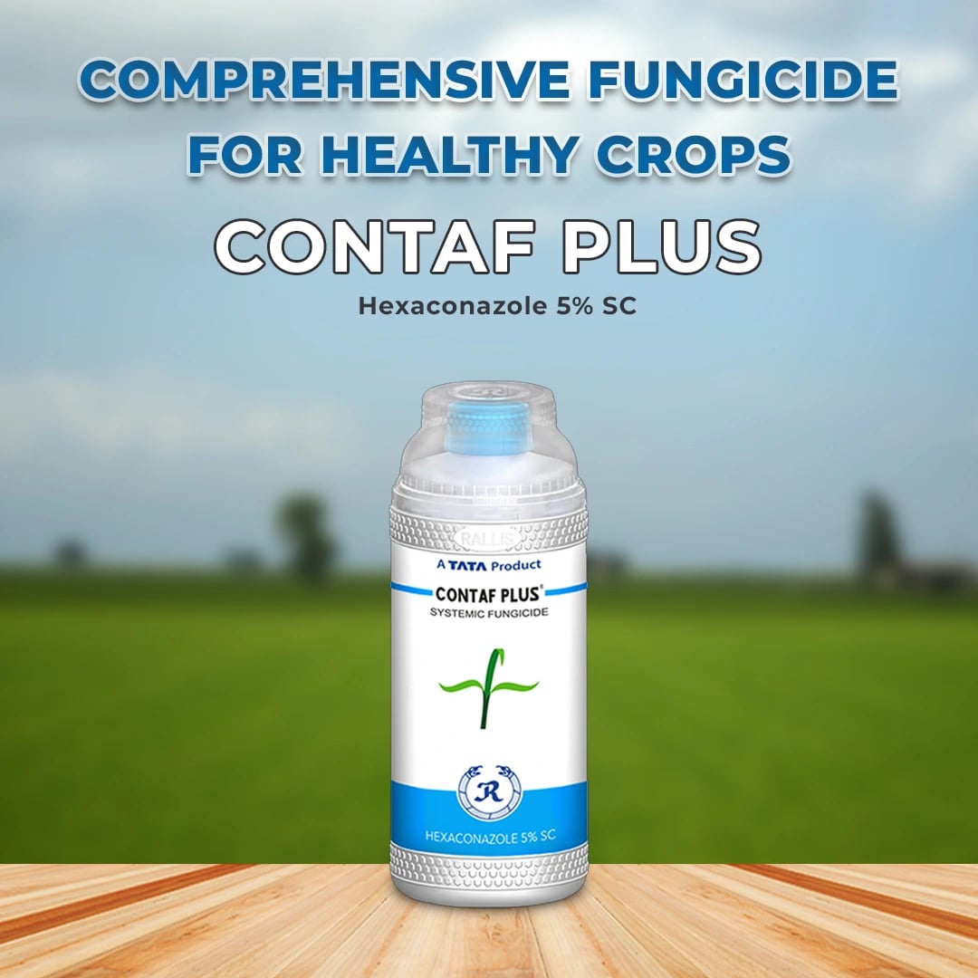 TATA Contaf Plus Fungicide