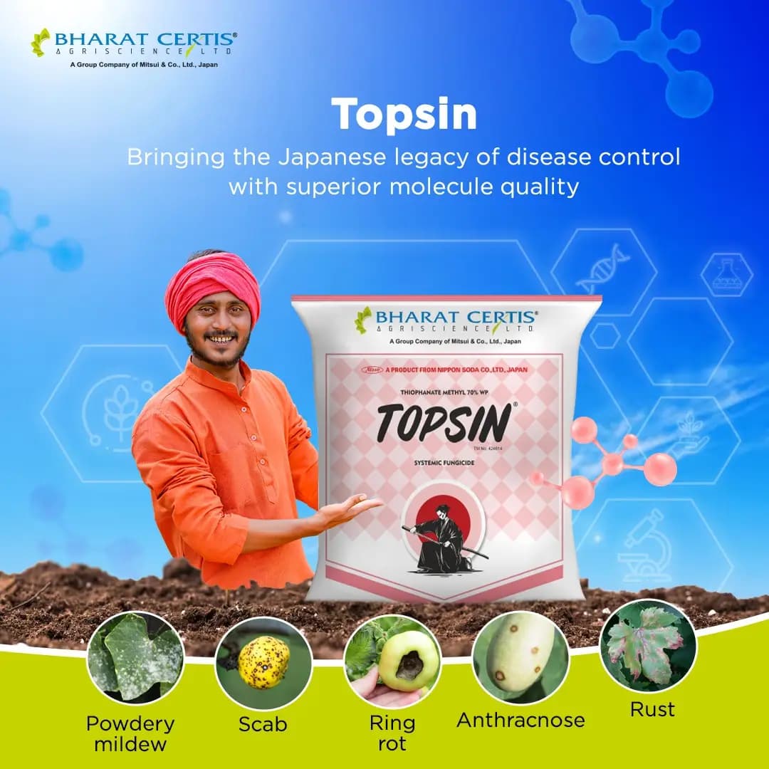 Bharat Certis Topsin Fungicide - Broad-Spectrum Systemic Fungal Diseases Control - Image 2