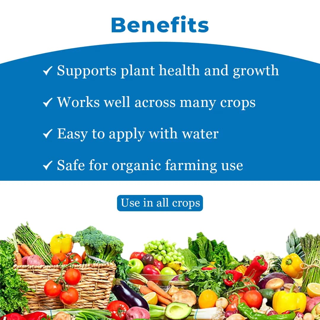 Dr. Anand Neem 1500 (PPM) min. - Image 4