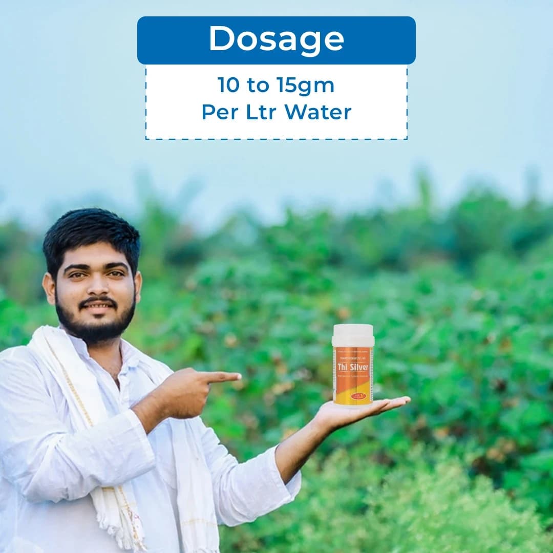 Agriventure Thi Silver (Thiamethoxam 25% Wg) Broad Spectrum Systemic Insecticide - Image 5