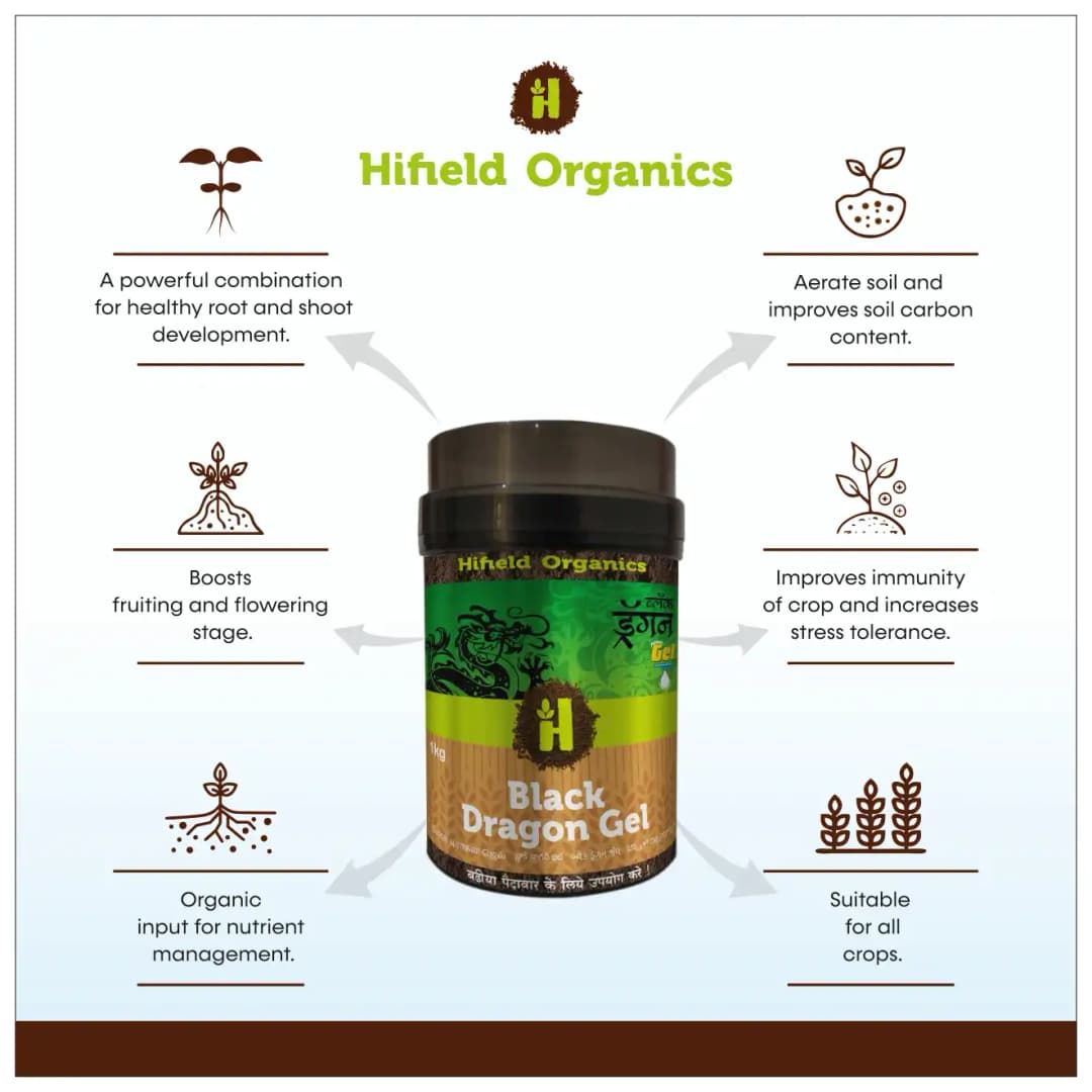 Black Dragon Gel (Humic Acid + Seaweed + Fulvic Acid) Natural Organic Fertilizer Containing Micro and Macro Nutrients, Suitable for all Crops - Image 2