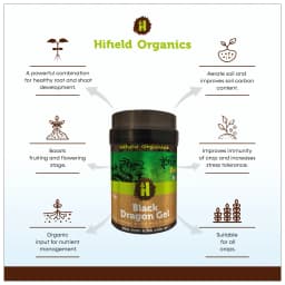 Black Dragon Gel (Humic Acid + Seaweed + Fulvic Acid) Natural Organic Fertilizer Containing Micro and Macro Nutrients, Suitable for all Crops 2