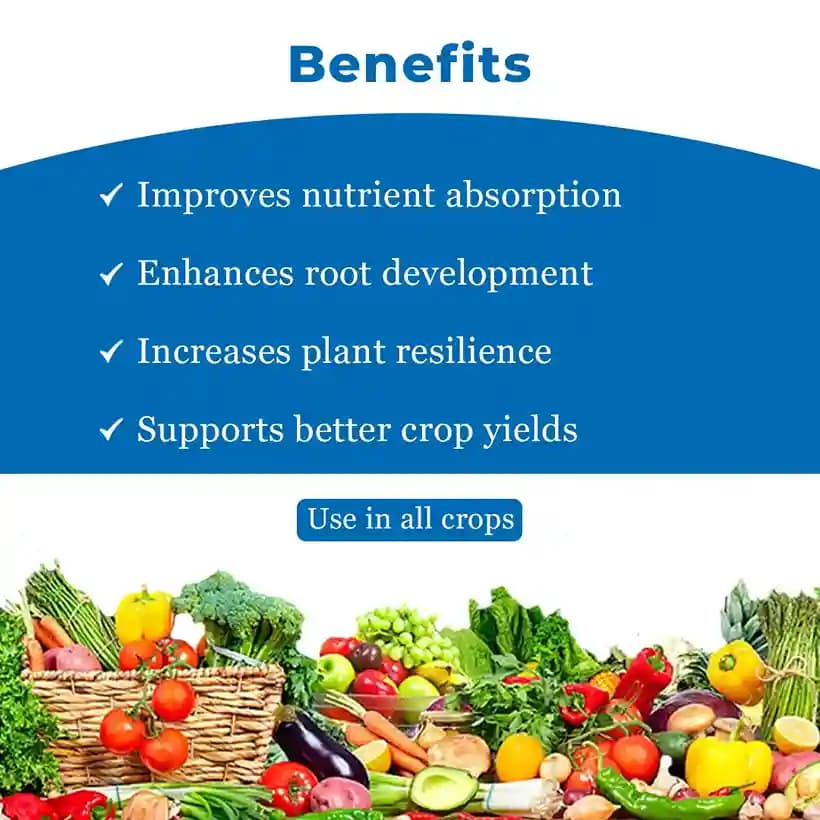 TUBORA - Fulvic Mineral And Nutrient For Better Immunity Of Plant And Leaves - Image 4