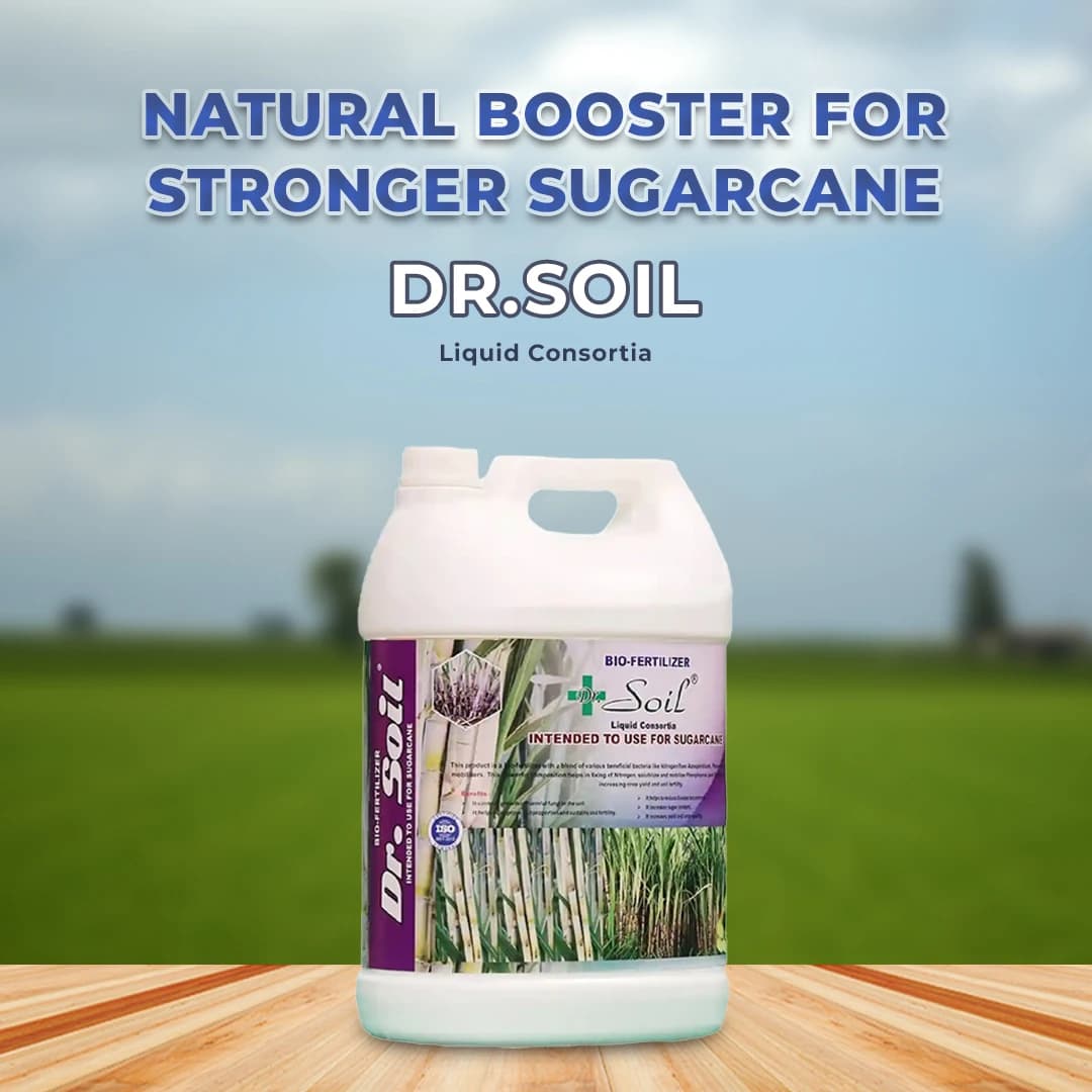 Dr.Soil Sugarcane Intended Use for Sugarcane (Liquid Consortia) (ISO certified) (Dr.Soil Sugarcane special) - Image 2