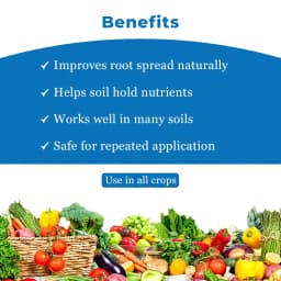 Dr. Bacto\'s VAM, Liquid Formulation of Vesicular Arbuscular Mycorrhiza, Liquid Fertilizer 4