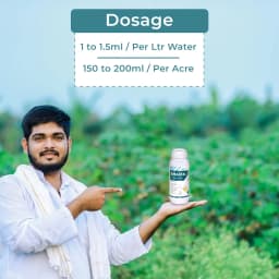 Emazek - Emamectin Benzoate 1.9% EC, Widely Used To Control Lepidoptera Pests 5