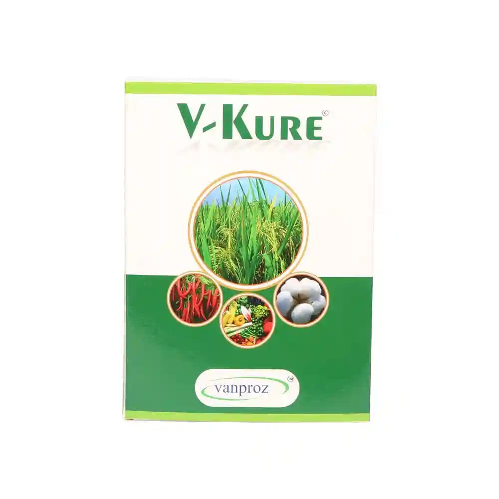 V Kure Bactericide & Fungicide Special, 100 % organic , Combination Of Eugenol, Thymol, potassium salts, cationic surface agent, sodium salts. - Image 2