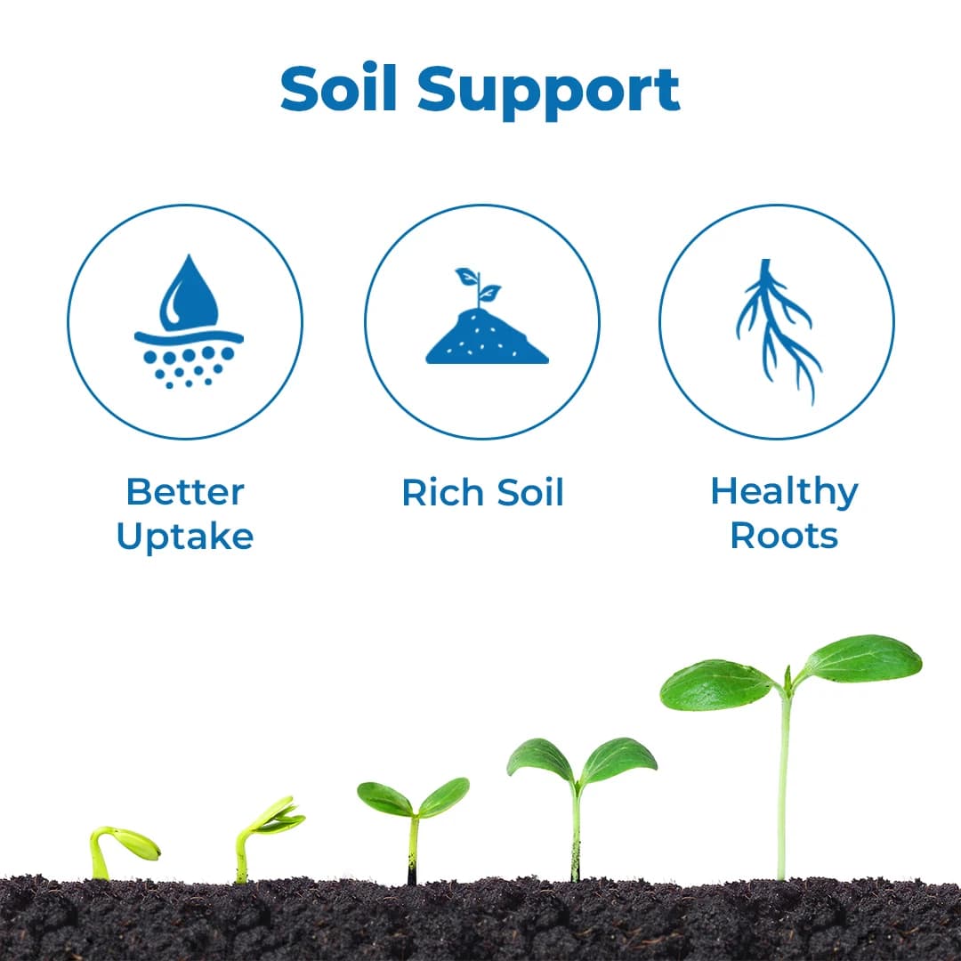 Dr. Bacto\'s Bacto Kit, Bio Fertilizer kit Contains NPK Consortia, PSB, Bactorhiza And Activator-Food Kit (Each 200 Grams) - Image 3