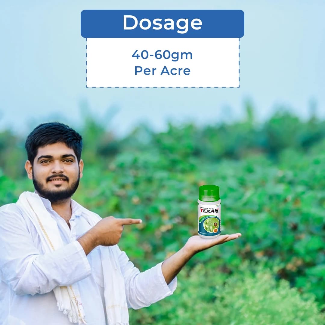 Texan PW Insecticide - Thiamethoxam 70% WS - Image 5