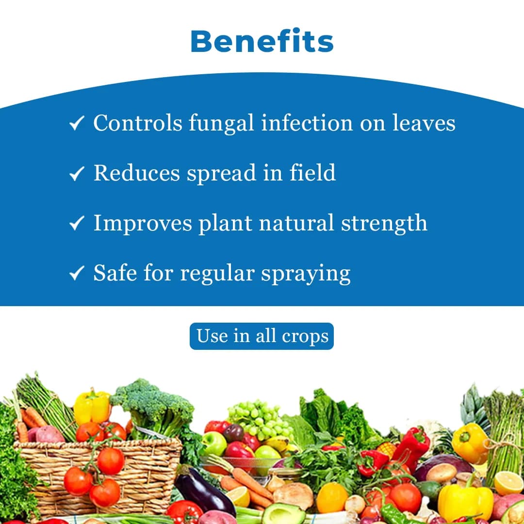 IPL Mildown Fungicide - Bacillus Subtilis 2.0% AS - Image 4