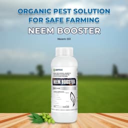 Neem Booster - Neem Oil 1500 PPM (Azadirachtin 0.15% EC) 2
