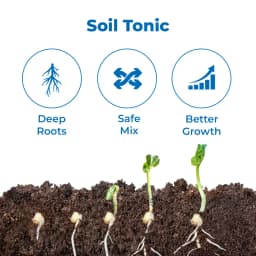 Hifield Organics HUMIC ECO Humic Acid, Fulvic Acid, Root Growth, Plant Growth, Potassium Humate 3