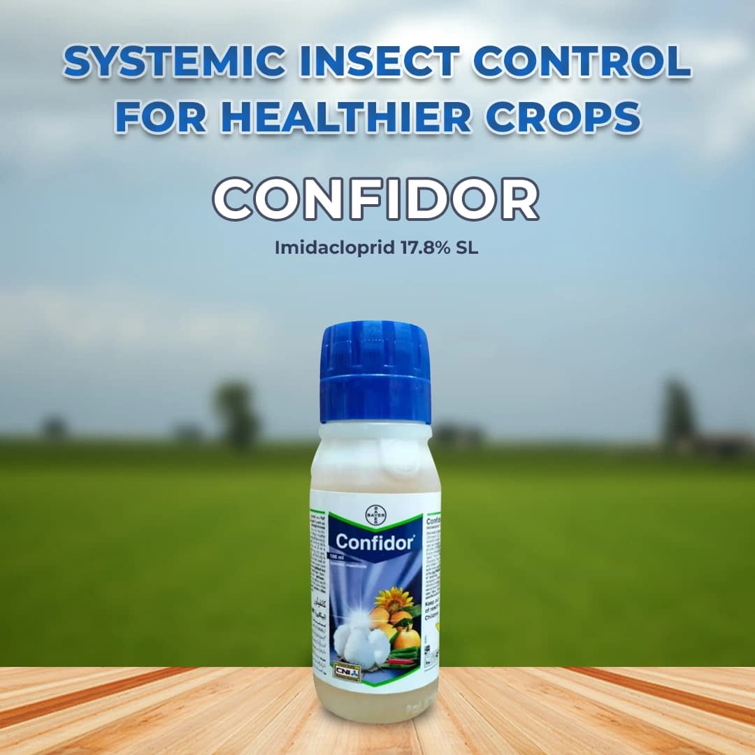Bayer Confidor Imidacloprid 17.8% SL Broad Spectrum Insecticide, For Control of Aphid, Jassid, Thrips, White Fly, Termite, Hopper and Others - Image 2