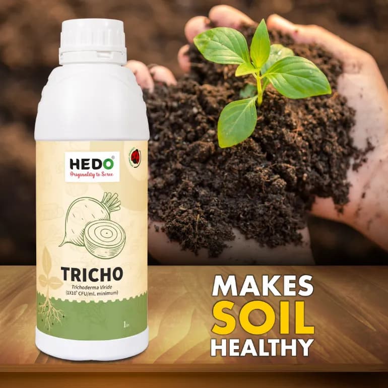 HEDO Tricho Trichoderma Viride Liquid Bio-Organic, For Agriculture, Garden & All Crops To Control All Fungal Disease & Seed Germination - Image 3