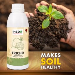 HEDO Tricho Trichoderma Viride Liquid Bio-Organic, For Agriculture, Garden & All Crops To Control All Fungal Disease & Seed Germination 3