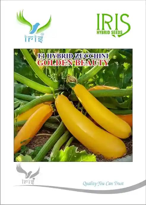 Iris Hybrid Vegetable Seeds, F1 Hybrid Zucchini Golden Beauty, Cylindrical Shape - Image 1