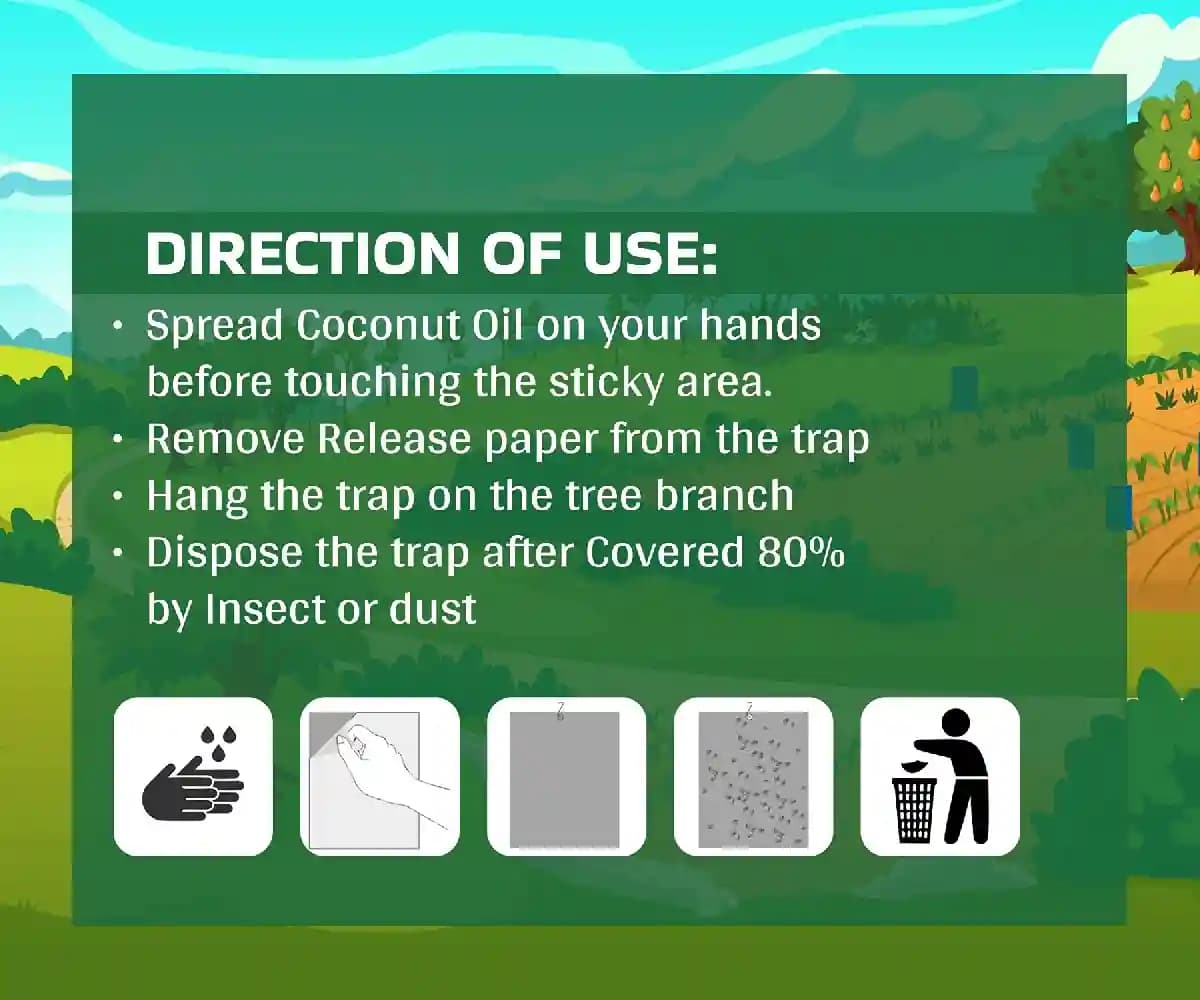 Chipku A5 White Sticky Trap For Insects, Useful for Farming Outdoor and Gardening (Size 150 MM x 200 MM) - Image 5