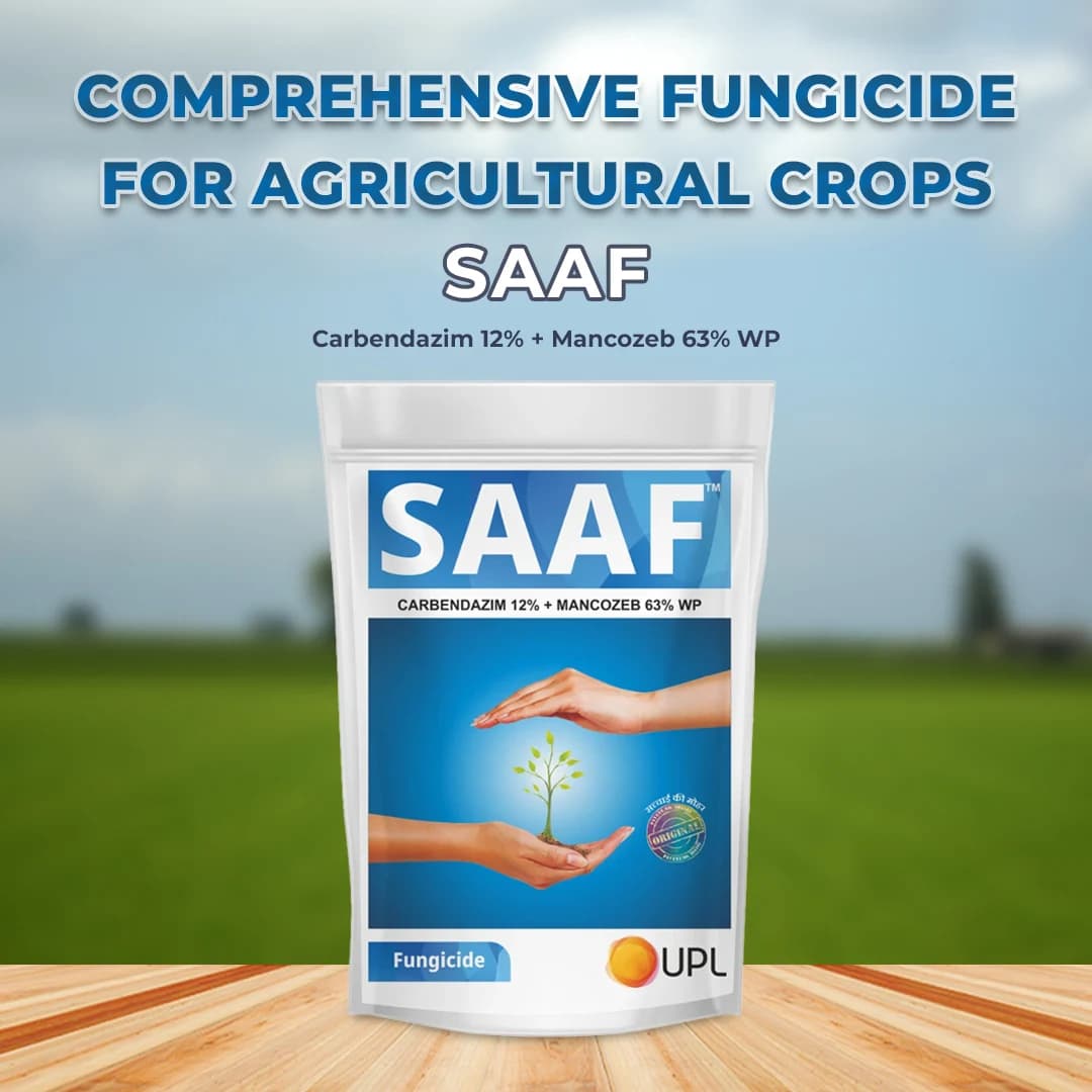 UPL Saaf Fungicide - Dual Action Broad Spectrum Controls Leaf Spot, Early Blight, Late Blight & Powdery Mildew in Chilli, Grapes, Mango, Paddy, Potato, Maize, Tea & Groundnut - Image 2