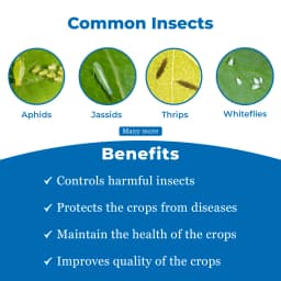 Tejas Super Insecticide - Chlorpyriphos 50% + Cypermethrin 5% EC 3