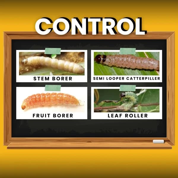 Katyayani Finish It Insecticide, Control For Cabbage Butterfly, Armyworm, Natural Larvicide For Crops (All In One Larvicide) - Image 5